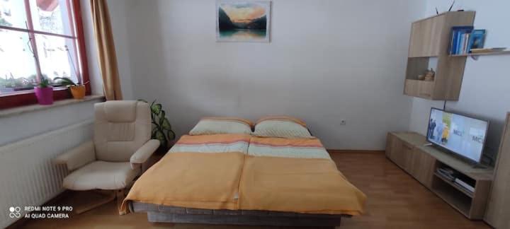 Apartmaji Bostjan Pristavec Краньска Гора Экстерьер фото