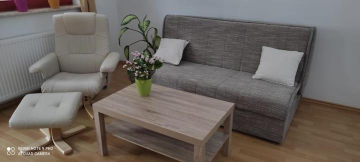 Apartmaji Bostjan Pristavec Краньска Гора Экстерьер фото
